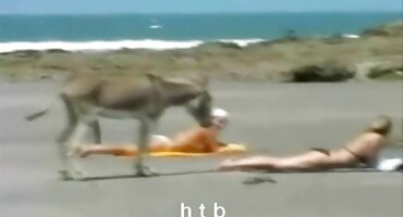 Morena virgen se corre en la boca después de una mamada