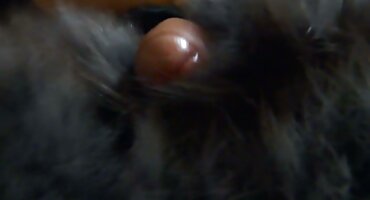 Chico se folla a hermosa morena esbelta y se corre en su cuerpo